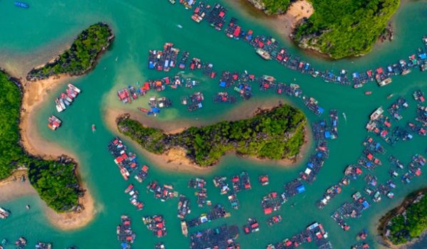 Enhance Community Contribution in Development