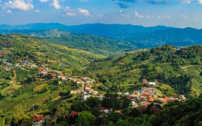 Community Forums Management