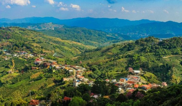 Community Forums Management